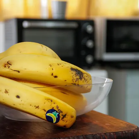 Malvasia House Semesterbostad Costa Teguise