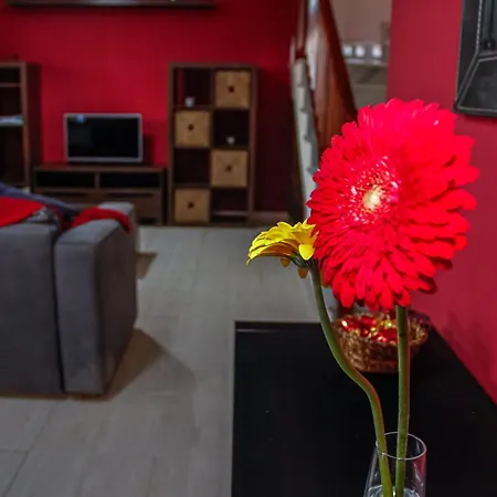 Malvasia House Коста-Тегисе